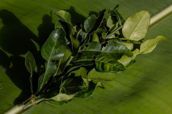 Lime fruit