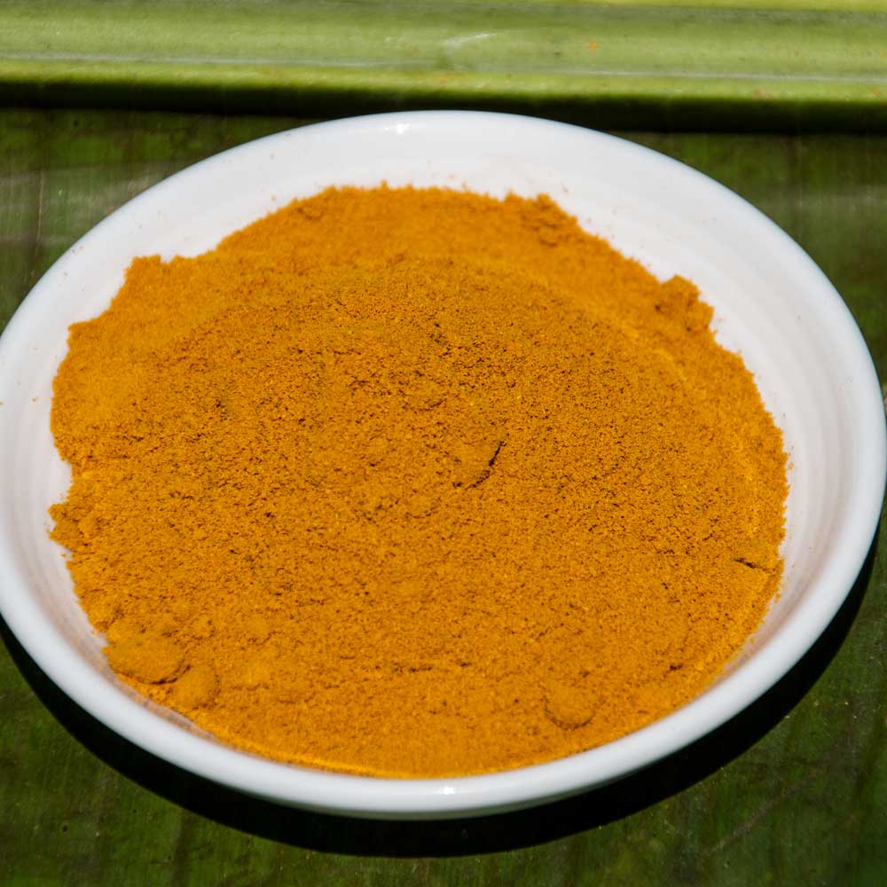Turmeric, Curcuma longa