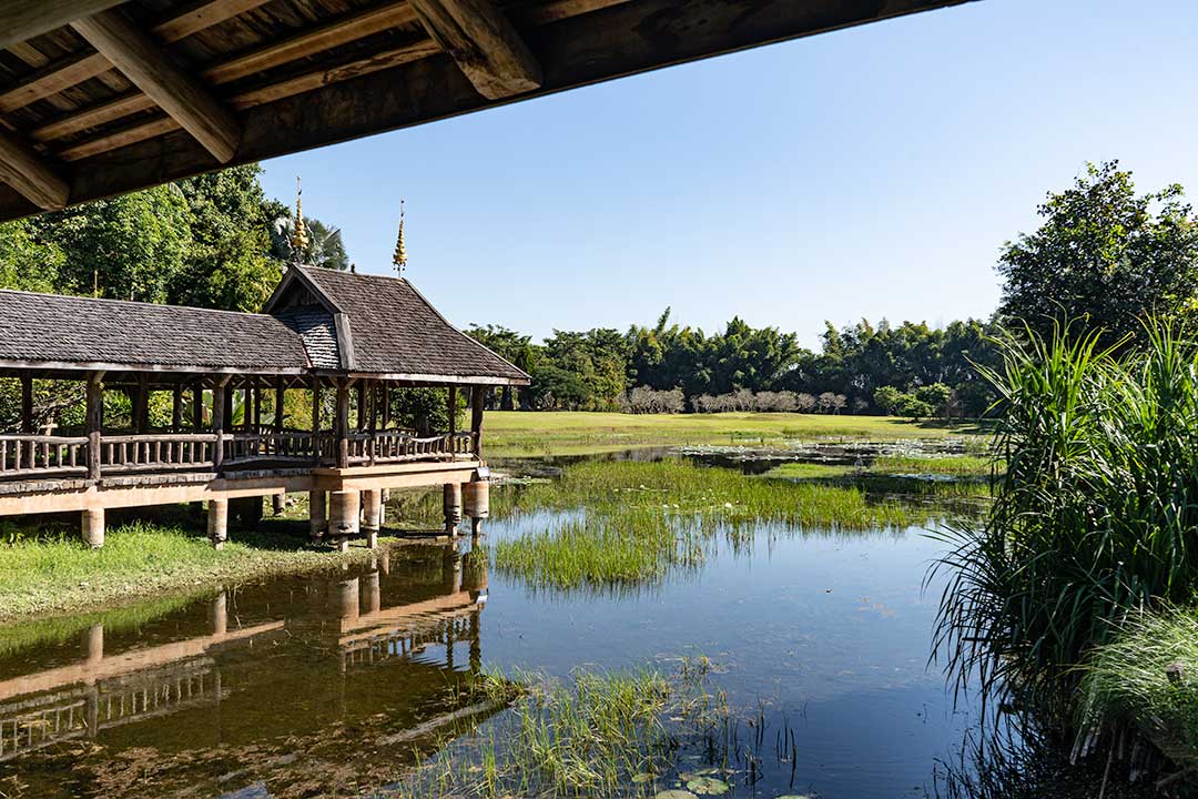 Lake Rai Mae Fah Luang Chiang Rai Lake Rai Mae Fah Luang Chiang Rai