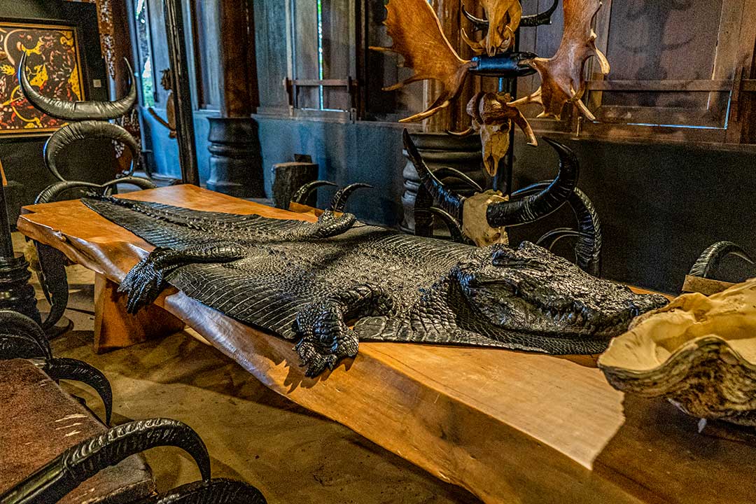 Baan Dan Back House crocodile table